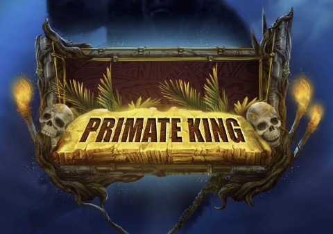 duelz mobile - primate king